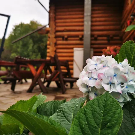 Valea Vistisoarei Bauernhof