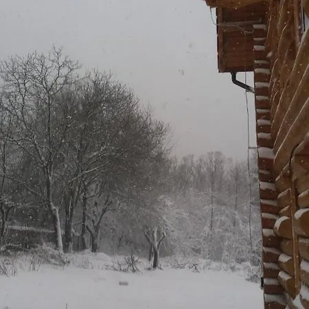 Valea Vistisoarei